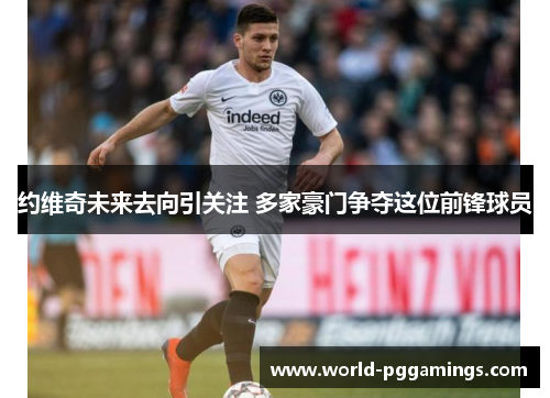 约维奇未来去向引关注 多家豪门争夺这位前锋球员