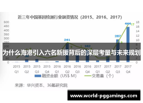为什么海港引入六名新援背后的深层考量与未来规划