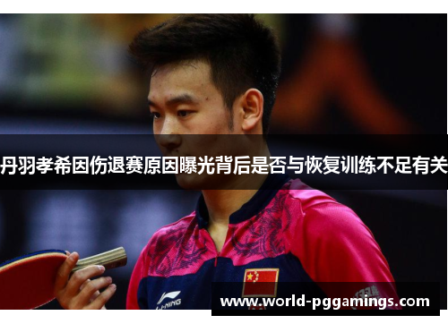 丹羽孝希因伤退赛原因曝光背后是否与恢复训练不足有关