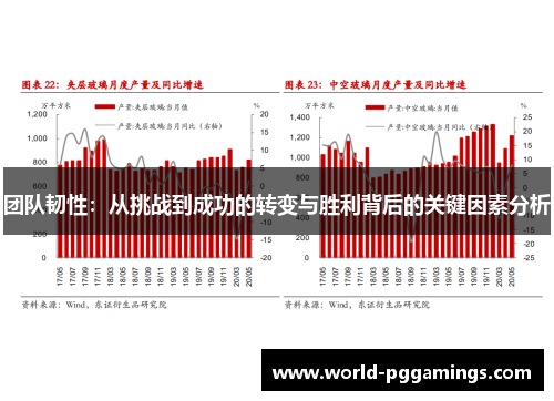 团队韧性：从挑战到成功的转变与胜利背后的关键因素分析