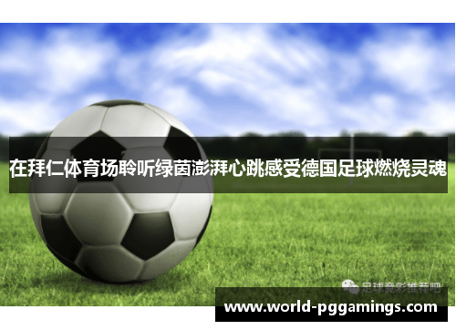 在拜仁体育场聆听绿茵澎湃心跳感受德国足球燃烧灵魂 在拜仁体育场聆听绿茵澎湃心跳感受德国足球燃烧灵魂