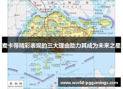 麦卡蒂精彩表现的三大理由助力其成为未来之星