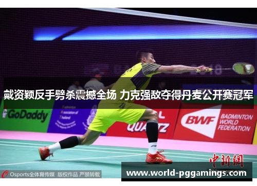 戴资颖反手劈杀震撼全场 力克强敌夺得丹麦公开赛冠军